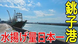 【道路に魚落ちてる】水揚げ量日本一の港！千葉県・銚子港を巡る！【銚子旅行2】