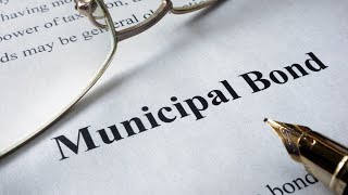 Municipal bonds offer a good hedge against equity risk: Peter Hayes BlackRock
