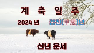 계축일주, 2024년 갑진년 신년운세 사주분석