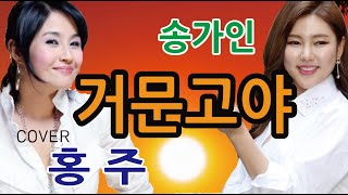 [라이브] #거문고야(원곡 #송가인) / 가수 #홍주 - 청풍TV추억나누기