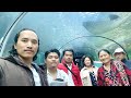 Sydney tour I Sea Life Sydney Aquarium I Opera House I Ferry Travel  I Light Rail 4K HDR