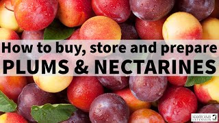 How to Buy, Store and Prepare Plums \u0026 Nectarines