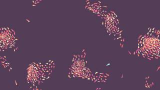 Flocking Fish V2