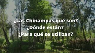 Chinampas ¿Qué son?