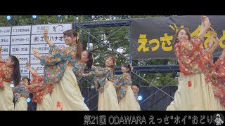 よさこい舞友伝 土曜日メイン会場 第21回ODAWARAえっさ“ホイ”おどり