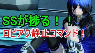 【PSO2】ロビアク静止はいいぞぉ！これぞPSO2って感じですわな