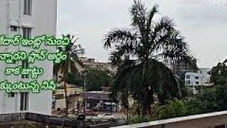 23-1-25నిషికి దిమ్మతిరిగేలా ఇంట్లోనుంచి వెళ్తున్న ధాత్రి కేదార్