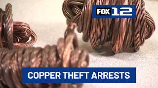 PPB arrests 5 suspects, including ‘broker’, linked to copper theft operation