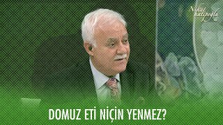 Domuz eti niçin yenmez? - 13 Aralık 2020