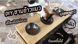 ชามข้าวแมว DIY มินิมอล กันมดขึ้นอาหารแมว