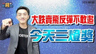 劉育綸 綸漲最錢線【大跌賣飛反彈不敢追 今天三燈獎】影音分析2024/08/20