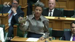 Paula Bennett brandishes 14g of cannabis lookalike in Parliament
