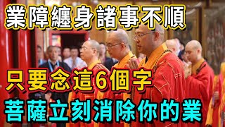 業障纏身，諸事不順時，只要念這6個字，三千諸佛立刻就會現身，消除業力之苦！丨佛談大小事