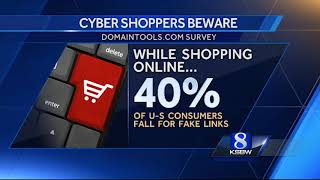 Holiday cyber shopping: Beware of phishing and counterfeit goods