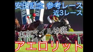 【2019 安田記念 参考レース】 アエロリット 近3レース