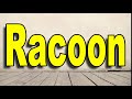 How to Pronounce Racoon