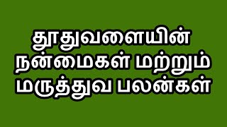 தூதுவளையின் நன்மைகள் மற்றும் மருத்துவ பலன்கள்