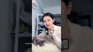 猫奴十三 做好这三点还你一只粘人猫#科学养宠攻略 #新手养猫 #猫咪不粘人 小陈养猫100招