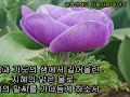 118. 윤정선생의 사람사는 이야기