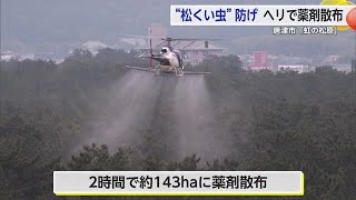 国の特別名勝「虹の松原」で薬剤散布 松くい虫防除へ【佐賀県】 (24/05/23 17:20)