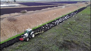 2019 Valtra N174d Ploughing