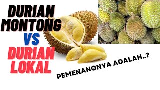 DURIAN MONTONG VS DURIAN LOKAL MINAHASA - BOULEVARD MANADO