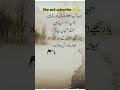 islamicvideo islam islamic shortsvideo shortsfeed shorts