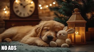 12 Hours of Music Help your dog calm down 🐶 Separation anxiety music, Relaxation music for dogs