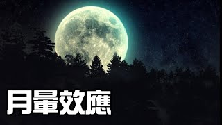 【教育心理學】月暈效應【一分鐘讀教育】