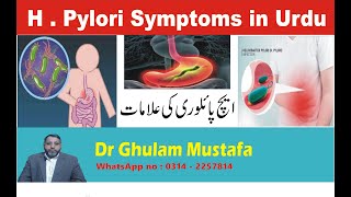 H Pylori Symptoms in Urdu