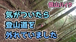 【アラフィフ登山】油断大敵、いともあっさり遭難しますよ　　鈴鹿油日岳周回　　