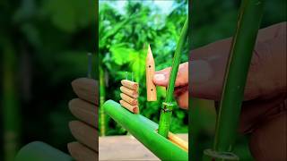 বাঁশ দিয়ে শক্তিশালী স্লিংশট বানান ঘরে বসেই! #Bamboo #DIY