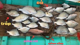 240/ Mồi Bột , Chả Lụa . Câu được nhiều loại cá khu vực gần cửa biển . Câu IKADA .