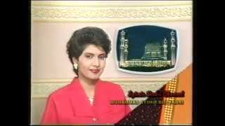 Intisari Rancangan TV3 (1991)