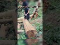 Wood cutting process 20x24x192 cm - Part 2 #shortsvideo #shorts  #woodworking #world #chainsaw