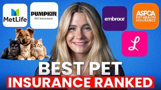 Best Pet Insurance Companies Ranked (2026) | Honest Comparison & Top Picks