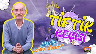 Tüm Dünyanın Bildiği Ankara Keçisi (Tiftik Keçisi) / Sinan Bengier İle izleyen Bilir