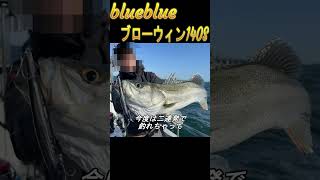 個人的にめちゃくちゃ釣れたルアーblueblue編　＃シーバスルアー