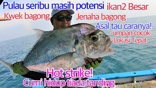 IKAN JENAHA \u0026 EBEK BAGONG PULAU SERIBU MASIH POTENSI || TIDAK PERLU KE RUMPON ASAL TAU CARANYA