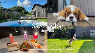 【vlog】キャバリアさぼ｜貸切ドッグヴィラ施設が最高すぎた！！