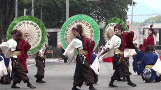 静岡大学　お茶ノ子祭々（豊川おいでん祭2012 ケヤキ会場）