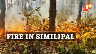 Forest fire In Similipal Biosphere Reserve | OTV News