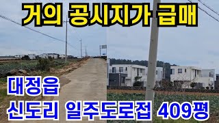 서귀포시 대정읍 신도리 마을옆 일주도로접 409평 급매물 최저가 1/3값 010 4436 0401 제주도부동산 토지 매매 급매물