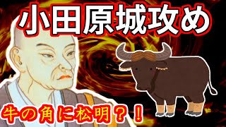 [合戦解説] 小田原城攻め 「北条早雲の火牛の計！関東制覇の野望」 /RE:戦国覇王