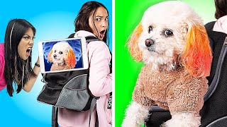 How to Sneak Your Pet Dog Past Security | Funny Situations Sneaking Pets By Crafty Hacks