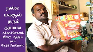 🌽நல்ல மகசூல் தரும் மக்காச்சோளம் விதை, ரகம் தேர்ந்தெடுத்தல்🔸 Maize Seed Selection 🔸Dr.விவசாயம்