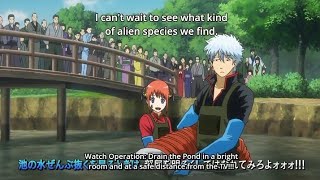 Operation: Drain the pond! Gintama