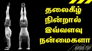 SIMPLE TWO METHOD WALL HANDSTAND தலைகீழ் நின்றால் இவ்வளவு நன்மைகளா NAMO TRY