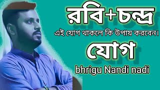 রবি+চন্দ্র=যোগের প্রভাব এবং তার সহজ প্রতিকার। (Bhrigu Nandi nadi) #Mrigganko jyotish#