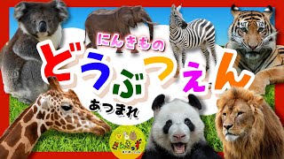 【子供向け どうぶつアニメ】動物園に行こう！☆パンダ キリン ライオンなどどうぶつえんで人気の動物が14種類登場するよ！｜うごく動物ずかんで動物の名前を覚えよう◎ 【子供が喜ぶ 動物の知育動画】